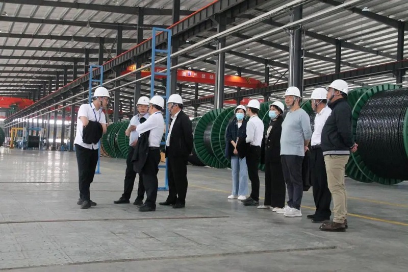 香蕉操逼视频电缆有限公司,香蕉操逼视频电缆,湖南香蕉操逼视频，